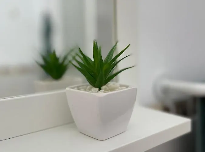 Sunny In The Heart Of Cruz * 圣克鲁斯-德特内里费